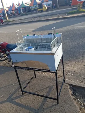 Stainless Steel Deep Fish and Madazi Fryer.