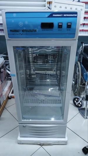 Pharmacy Refrigerator 120l/Pharmacy Fridge - main view