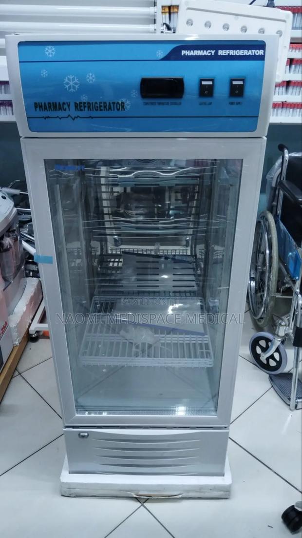 Pharmacy Refrigerator 120l/Pharmacy Fridge
