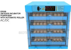 256 Eggs Incubator