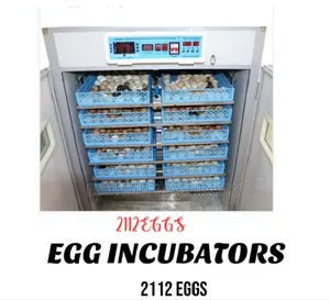 2112 Eggs Incubator