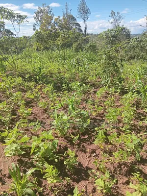 Land and Plots for Sale in Kenol Muranga County
