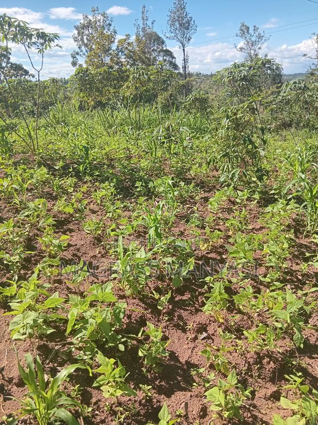 Land and Plots for Sale in Kenol Muranga County