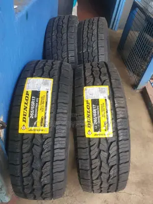 265/65r17 Dunlop Tyre