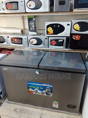 Gray Premier Double Deep Freezer