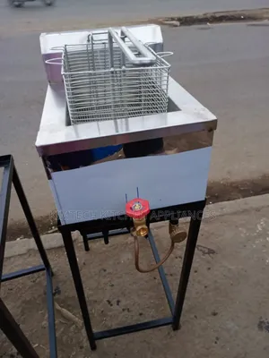 Affordable Single Gas Fryer