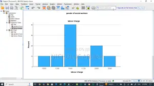 Statistics Research Analysis Services