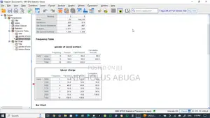 Statistics Research Analysis Services