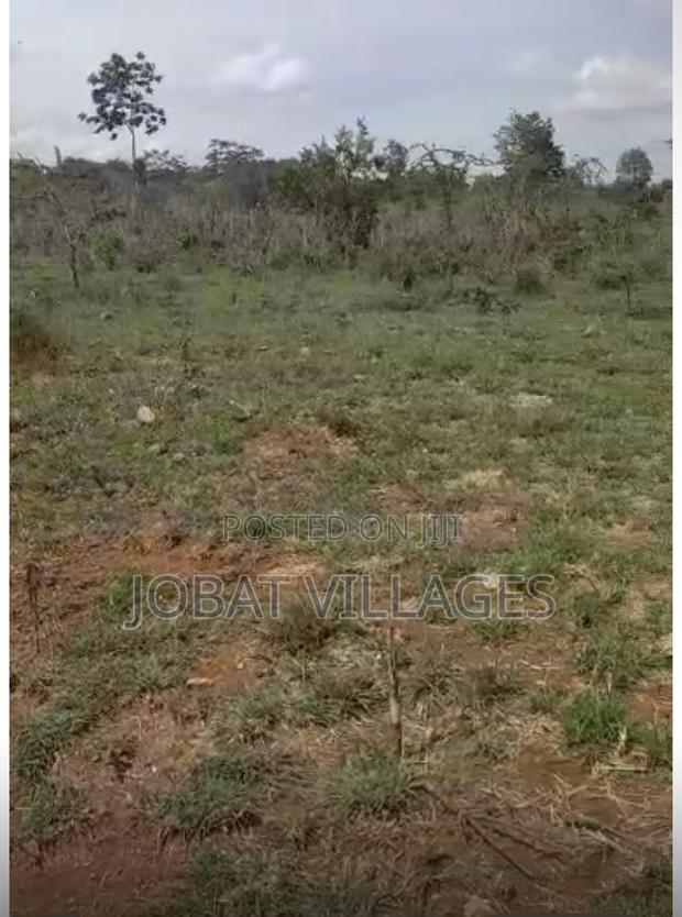 1/2 Acre Land on Sale - thumbnail 2