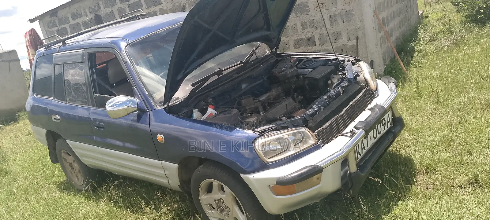Toyota RAV4 Cabriolet 1998 Blue