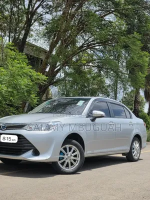 Toyota Axio 2016 Silver