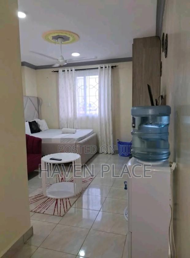 Fully Furnished Studio Apartment Available in Mombasa CBD - thumbnail 8