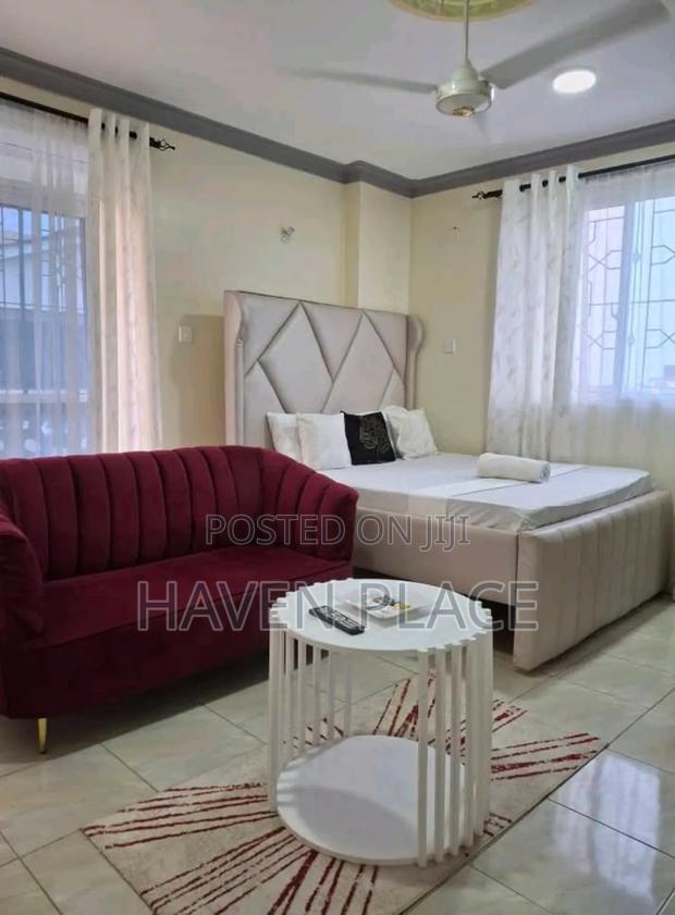 Fully Furnished Studio Apartment Available in Mombasa CBD - thumbnail 9