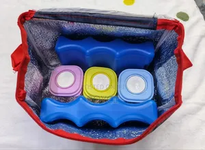 Cooler Bag With Ice Pack