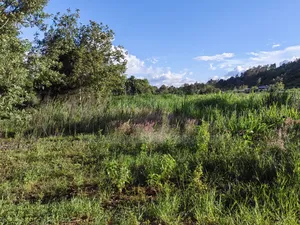 5 Acres on Sale in Thigio Nguirobi Kikuyu Kiambu County.