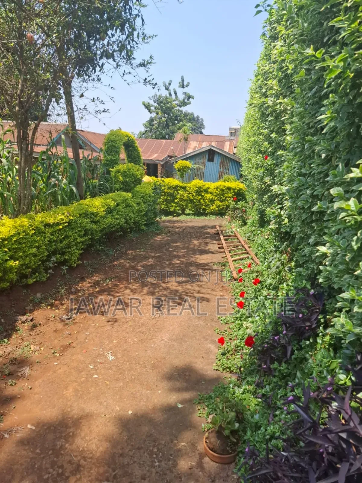 Residential Land for Sale in Ruaka