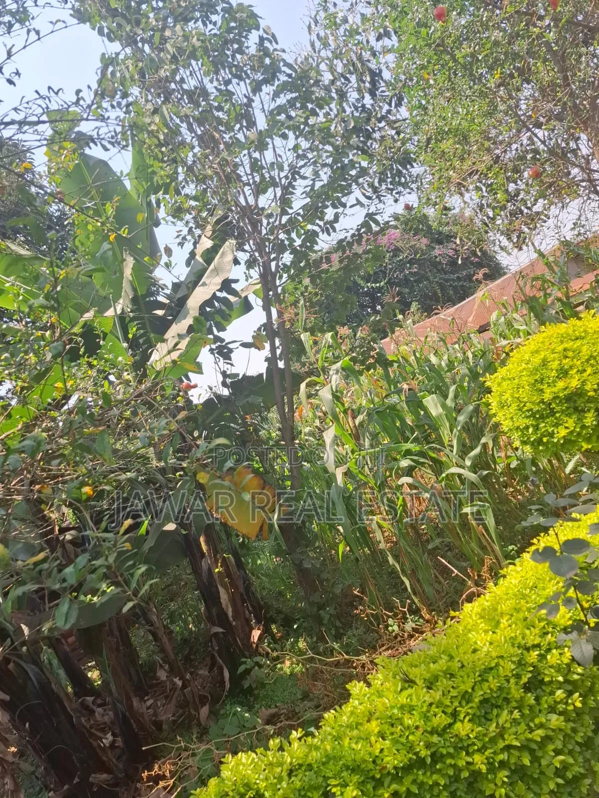 Residential Land for Sale in Ruaka