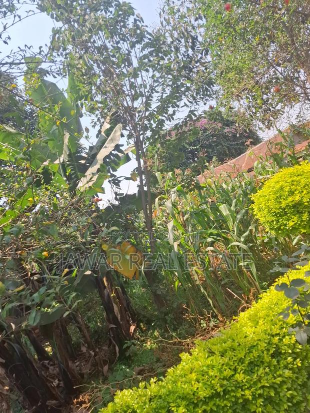 Residential Land for Sale in Muchatha Ruaka - thumbnail 4