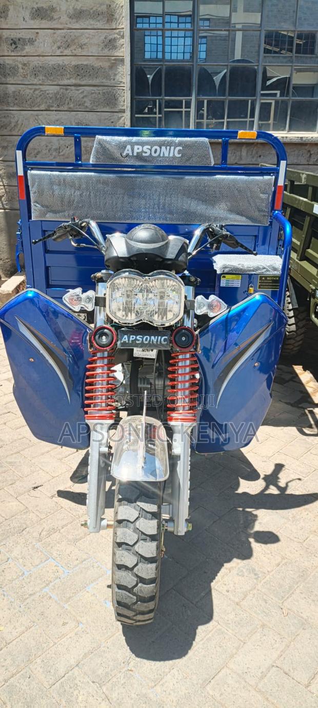 New Apsonic AP200ZH-VIP 2025 Blue
