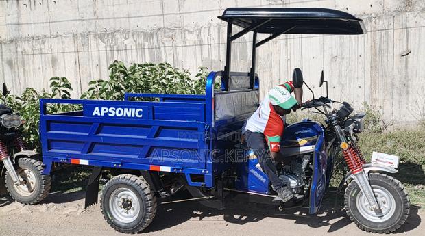 New Apsonic AP200ZH-VIP 2025 Blue - main view