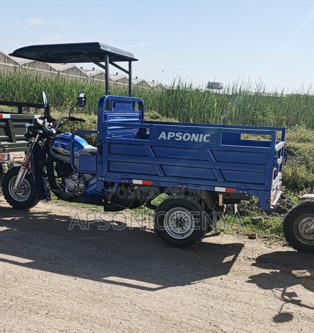 New Apsonic AP200ZH-VIP 2025 Blue - thumbnail 2