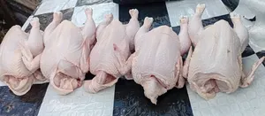 Broiler Coupon