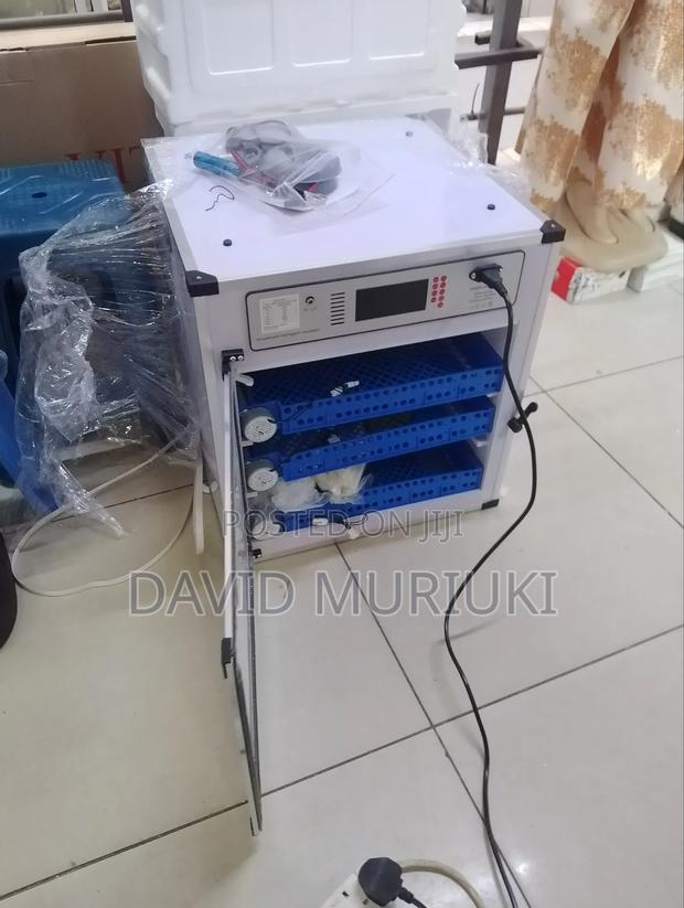 204 Egg Incubator.