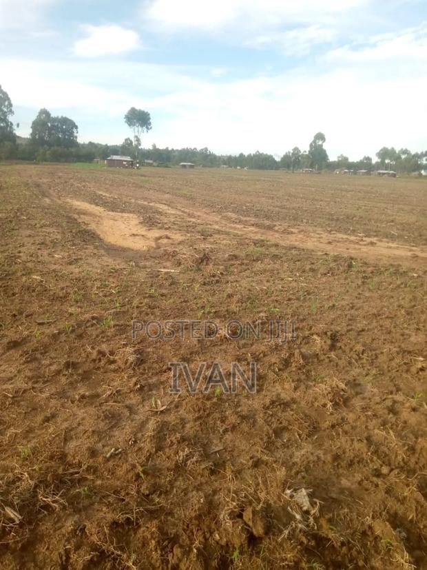 5acres for Sale - thumbnail 3