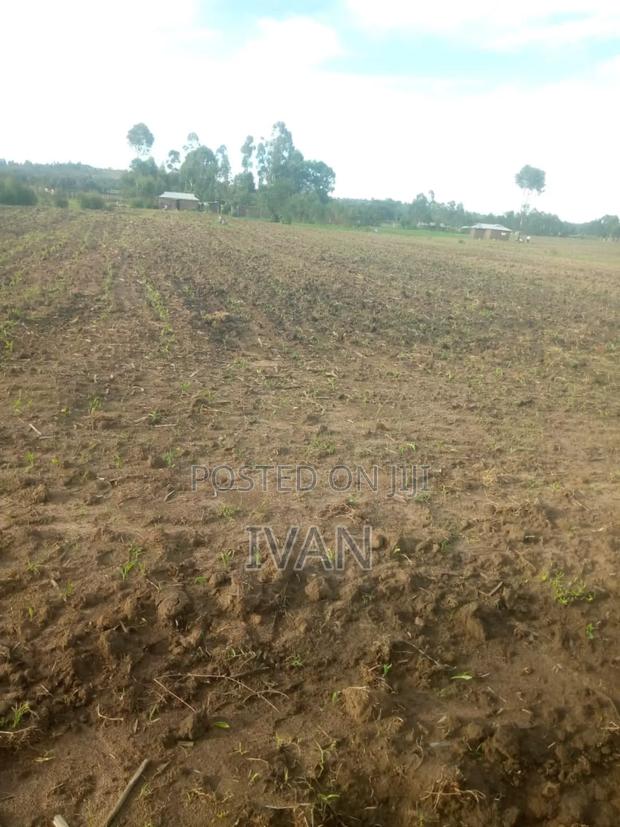 5acres for Sale - thumbnail 4