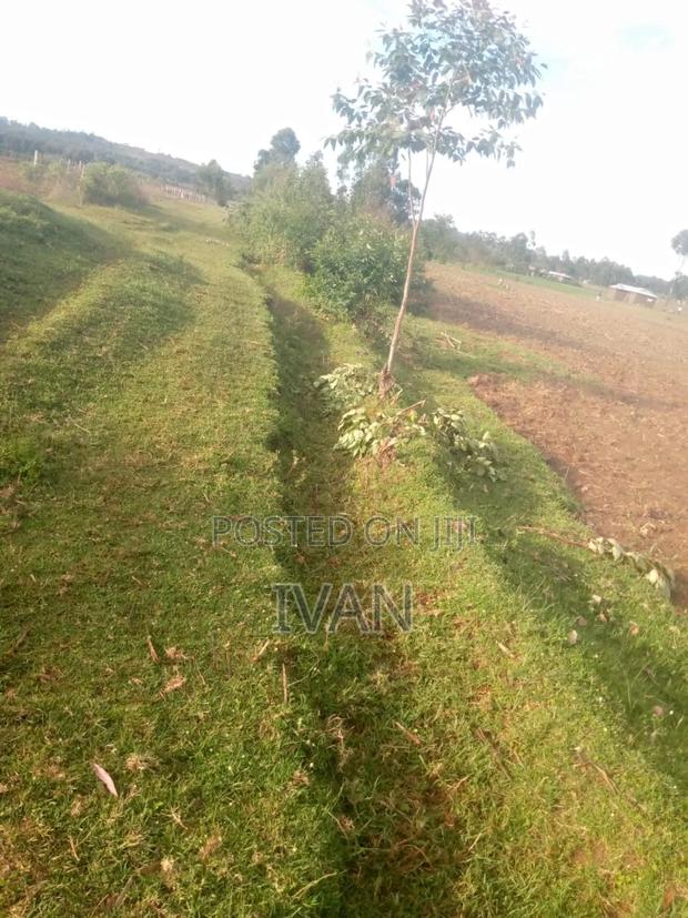 5acres for Sale - thumbnail 5
