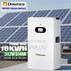 314ah High-Capacity 16kwh 51.2v Wall-Mounted LFP Battery