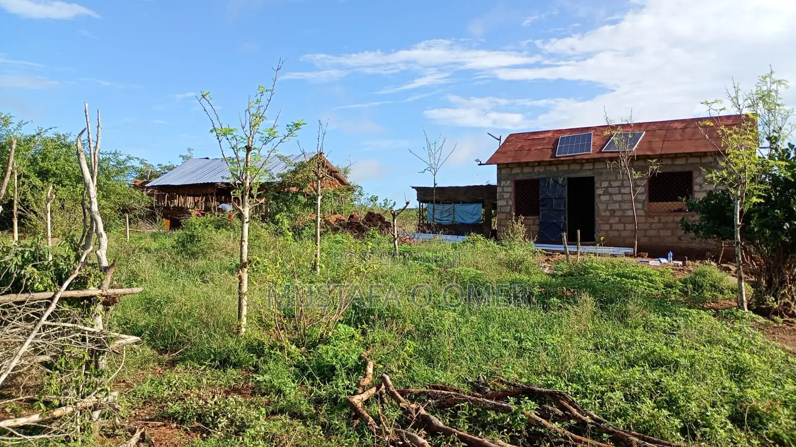 Mixed Farm With House and Infrastructure