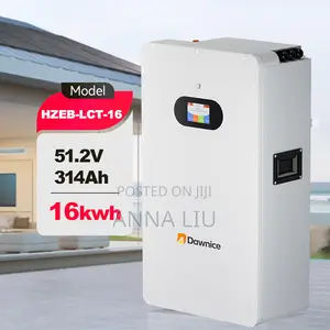 16kwh 314ah 51.2v Wall-Mount Ess for Residential Backup
