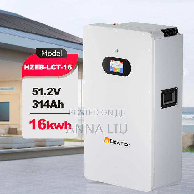 16kwh 314ah 51.2v Wall-Mount Ess for Residential Backup