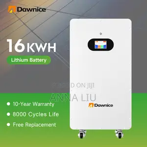 Smart BMS 16kwh 51.2v 314ah Lithium Wall Storage Battery