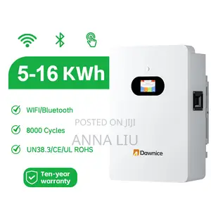 16kwh 51.2v 314ah LFP Battery Pack | Long Life Solar Ess