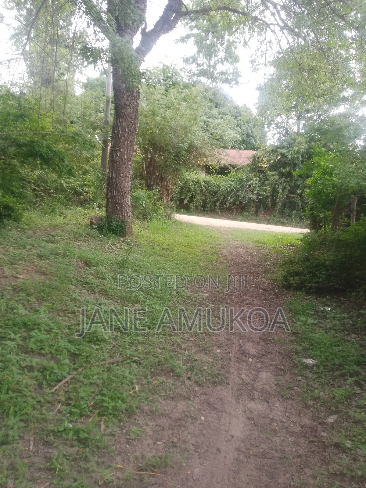 1 Acre Land at Mtepeni