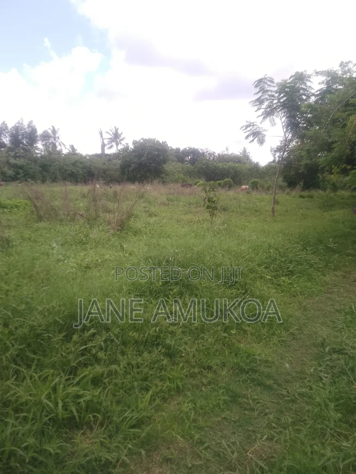 1 Acre Land at Mtepeni