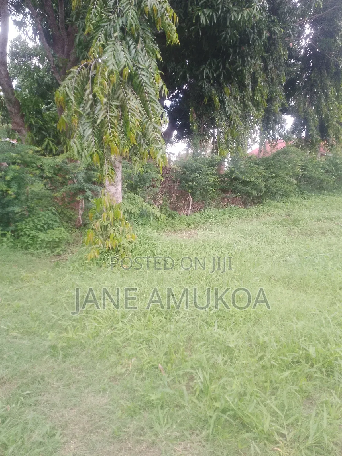 1 Acre Land at Mtepeni