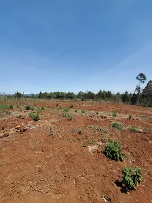 Prime 50*100 Plots in Kamangu-Gitutha(Vista Homes the Oasis Phase 2)