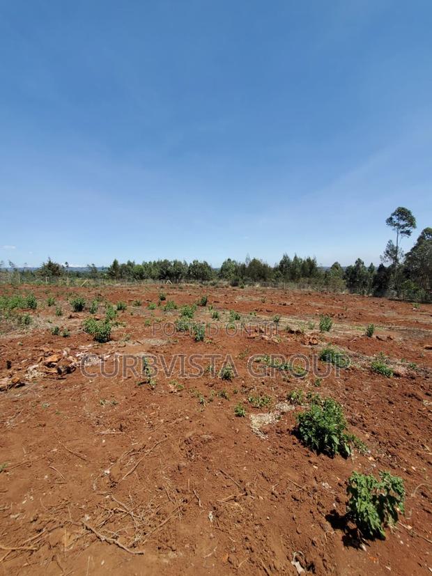 Prime 50*100 Plots in Kamangu-Gitutha(Vista Homes the Oasis Phase 2)