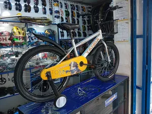 Size 20 Brand New Strong Indian Bike