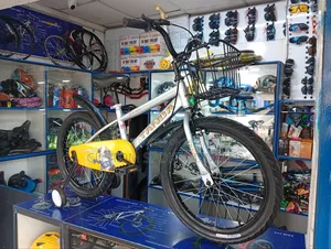 Size 20 Brand New Strong Indian Bike