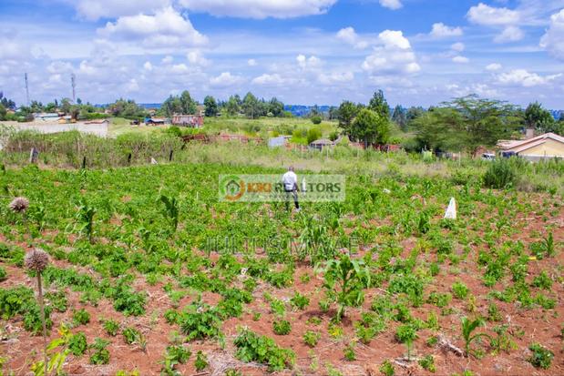 Kikuyu Prime Plots - main view