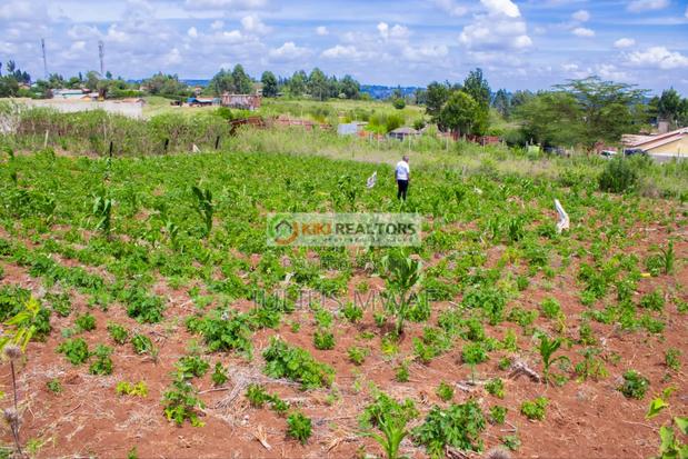 Kikuyu Prime Plots - thumbnail 2