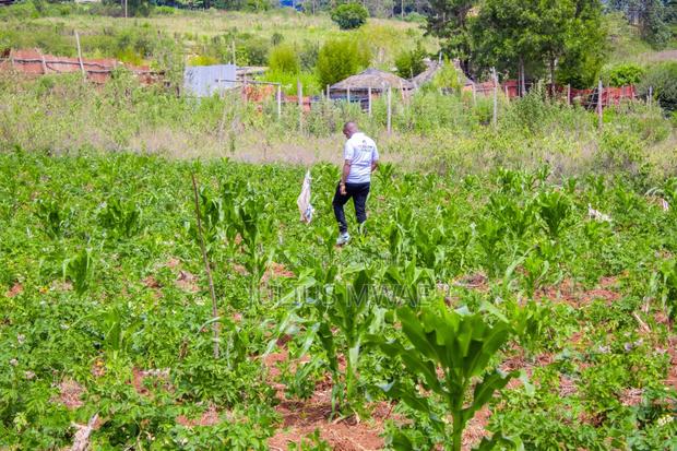 Kikuyu Prime Plots - thumbnail 3