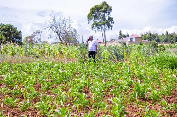 Kikuyu Prime Plots - thumbnail 4