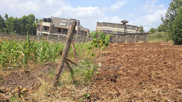 Prime Half-Acre Plot for Sale in Kefri - thumbnail 4