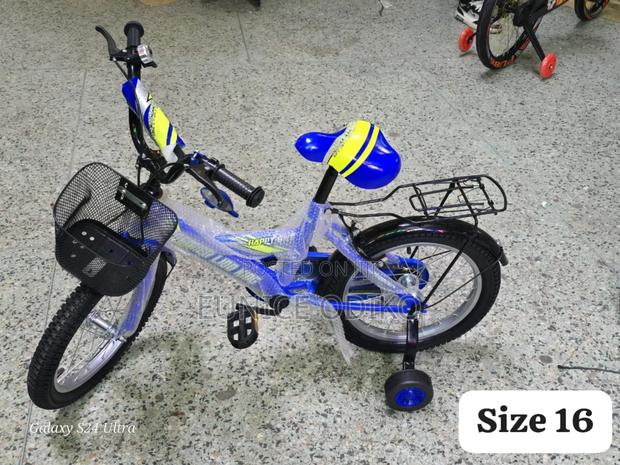 *Lion King Kids Bikes*