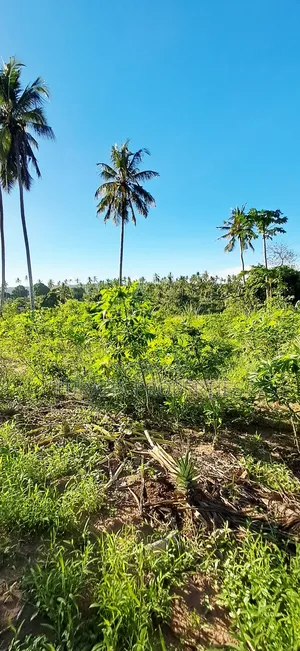 For Sale 1 Acre Prime Land Kwale